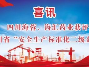 海蓉、海匯藥業(yè)獲評(píng)“安全生產(chǎn)標(biāo)準(zhǔn)化二級(jí)企業(yè)”