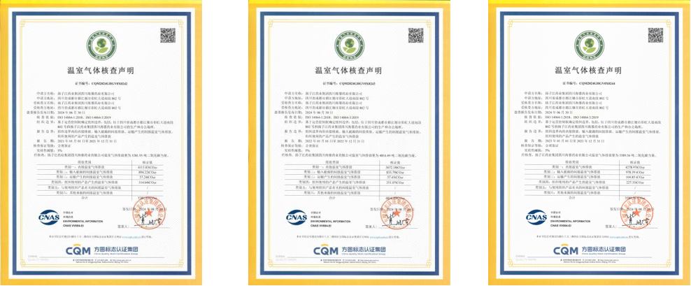 揚子江藥業(yè)集團(tuán)四川海蓉藥業(yè)有限公司2021年-2024年碳排放核查數(shù)據(jù)公示